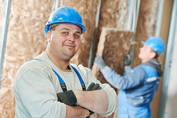 Best Insulation Installation Services in Bear, DE